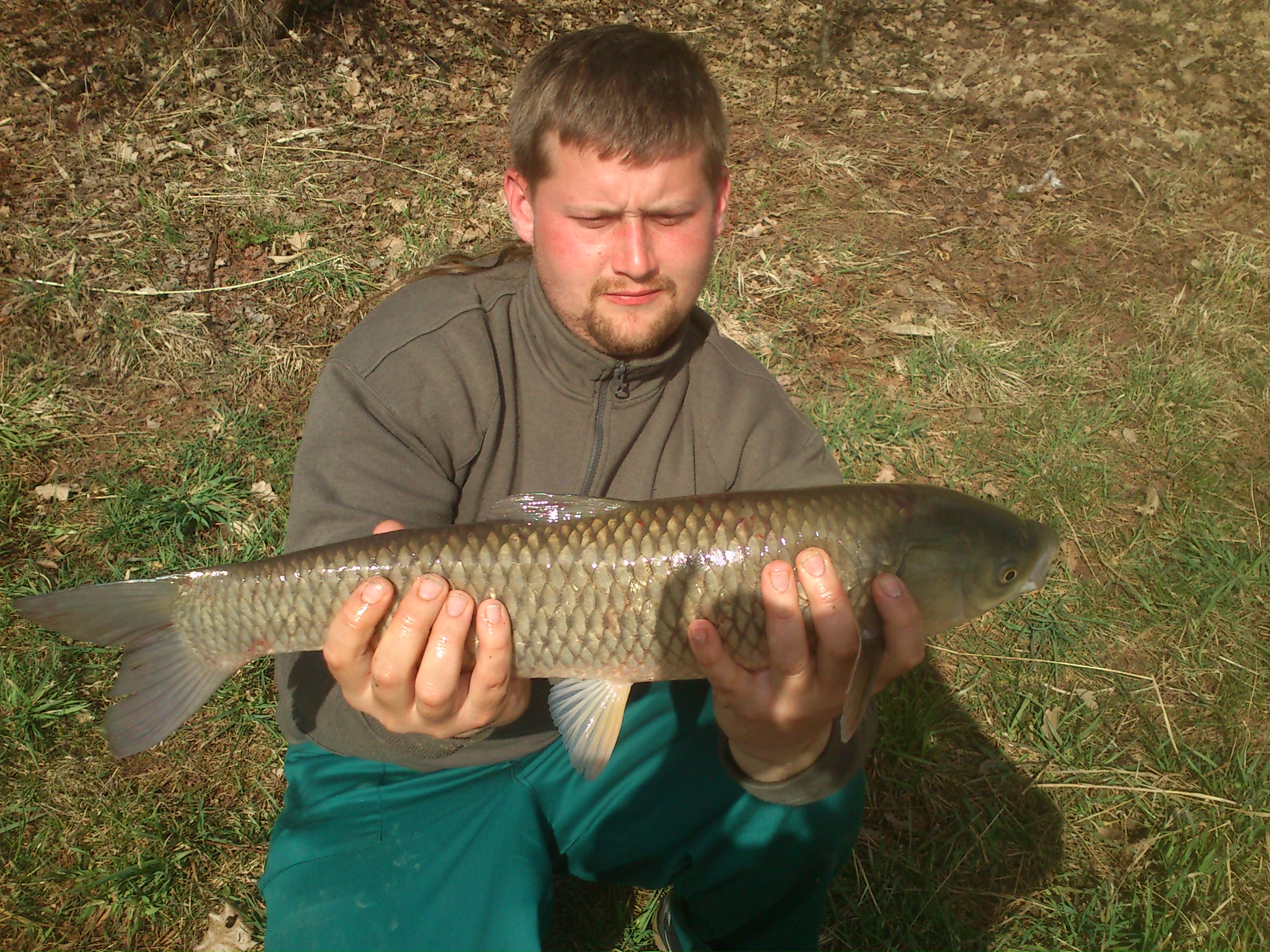 Amur 14.4.2013  58cm velká černoc